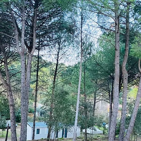 Campingplatz Mobil De Standing A La Porte Des Cevennes Sur Un Terrain Arbore Et Ombrage Anduze
