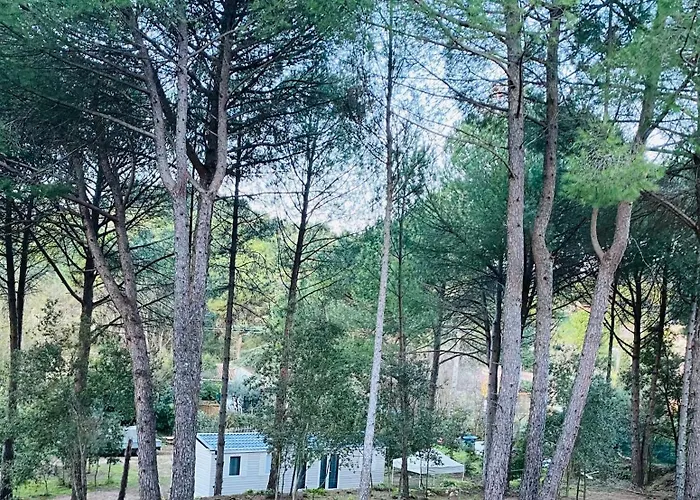 Parque de Campismo Mobil De Standing à La Porte Des Cévennes Sur Un Terrain Arboré Et Ombragé Anduze